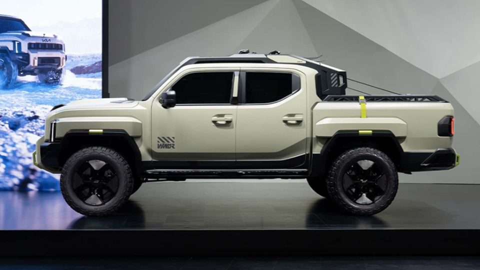 کیا تاسمان ویکندر